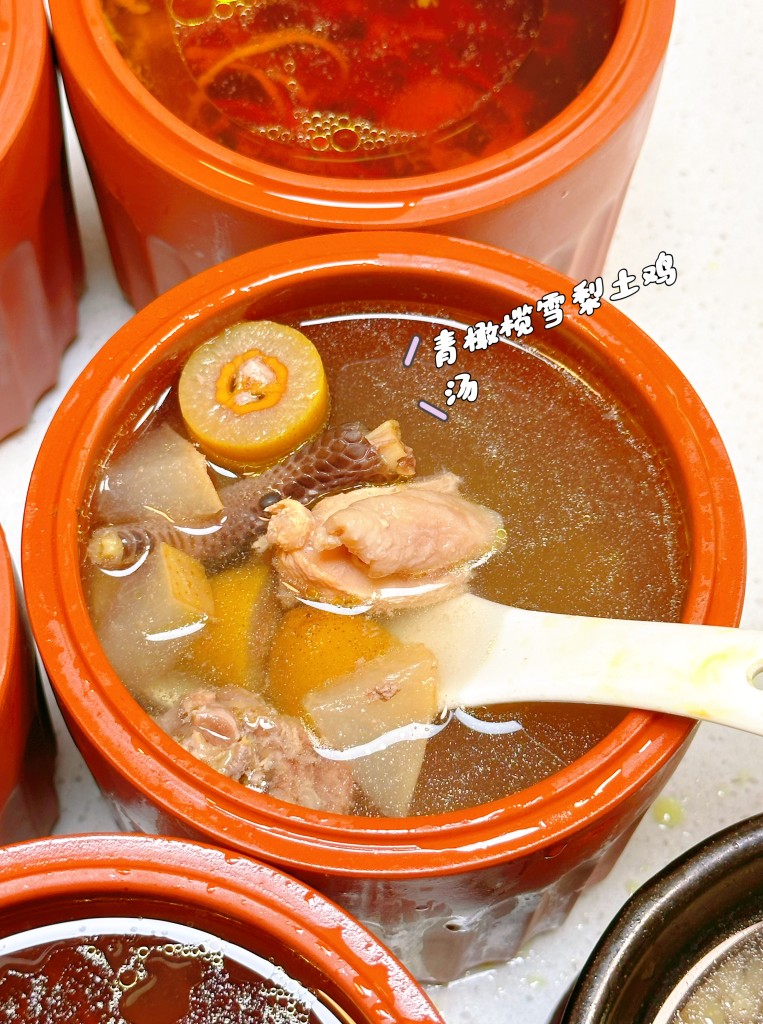 图片[2]-药膳炖盅配方-紫寻食集-阿紫姑娘小吃配方网