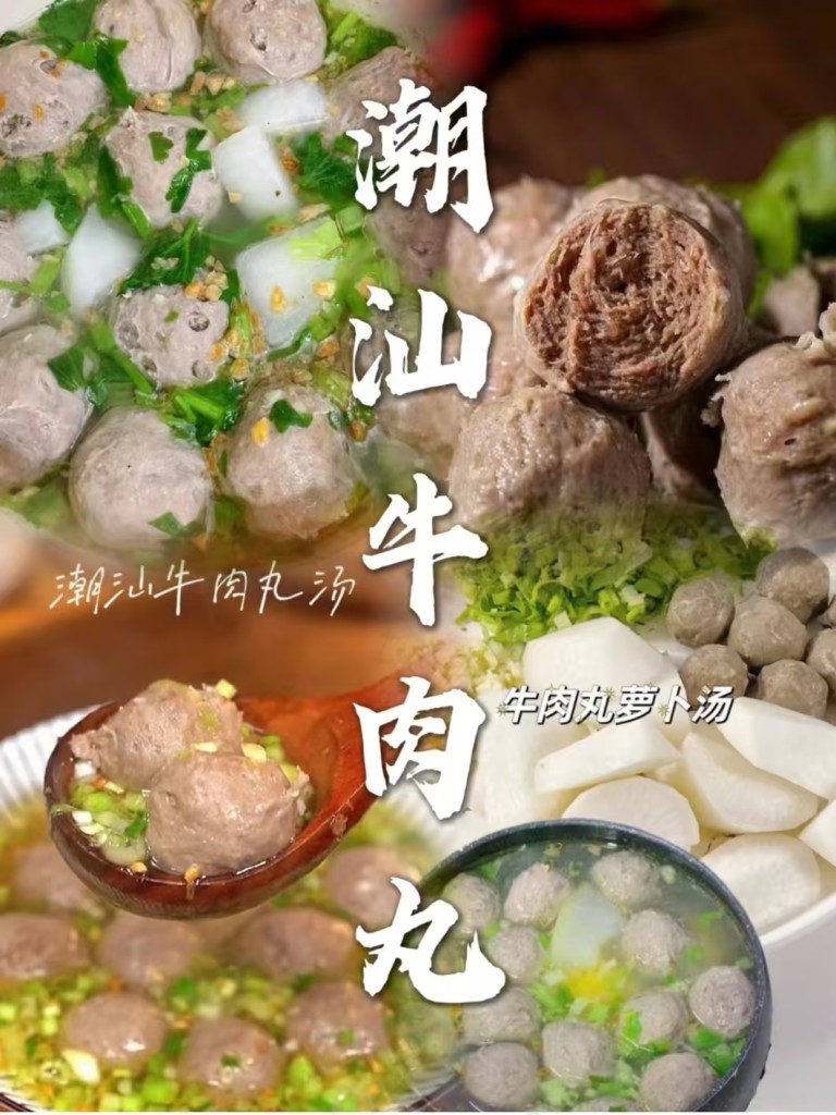 潮汕肉丸商用配方教程｜猪肉丸+牛肉丸摆摊开店爆款技术-紫寻食集-阿紫姑娘小吃配方网
